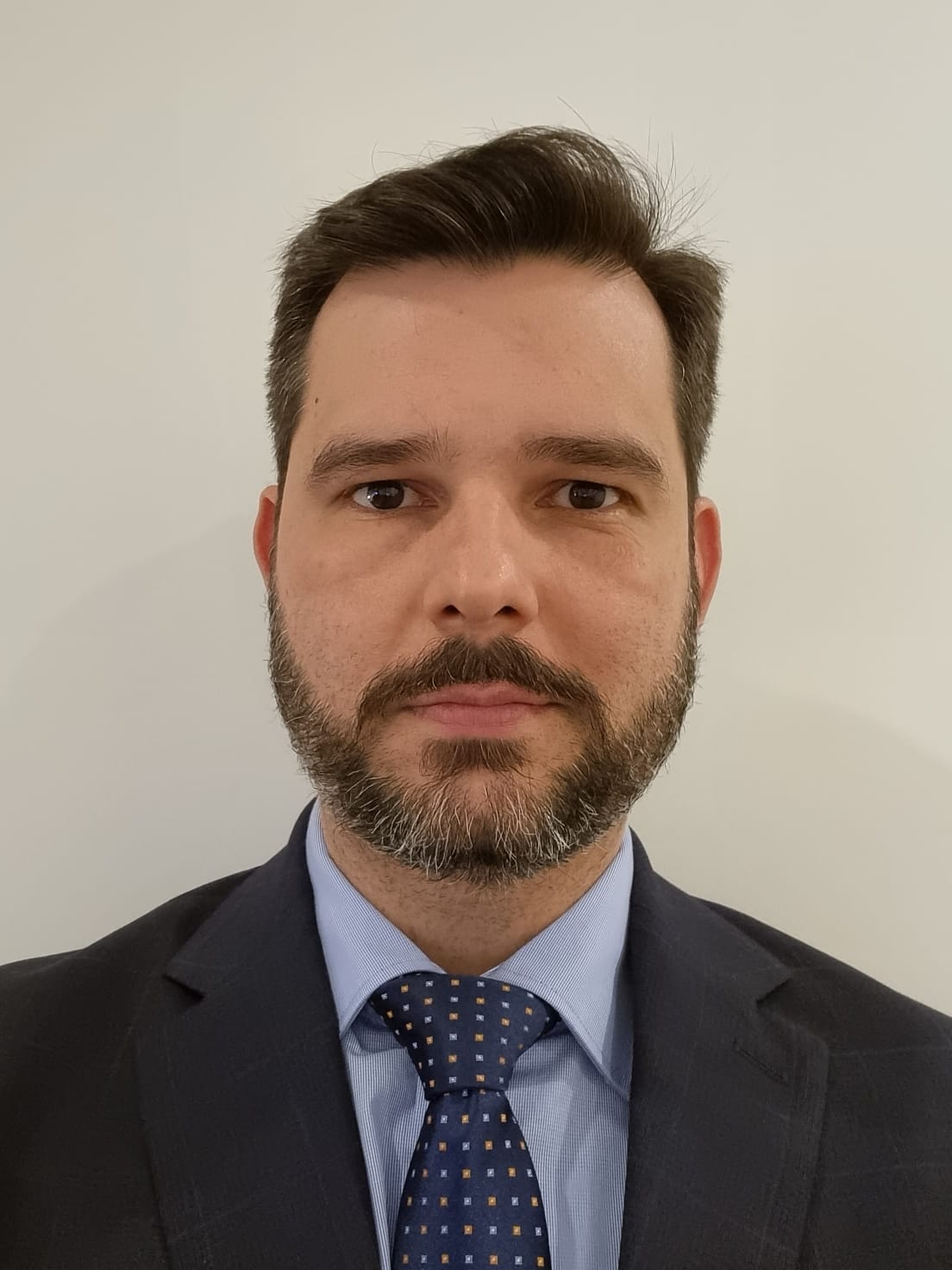 Felipe Callegaro Pereira Fortes